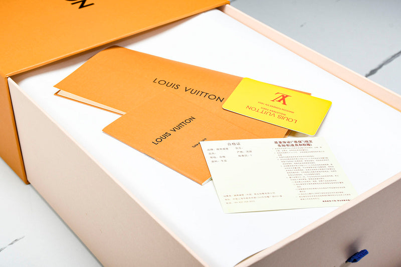Louis Vuitton Sneaker
