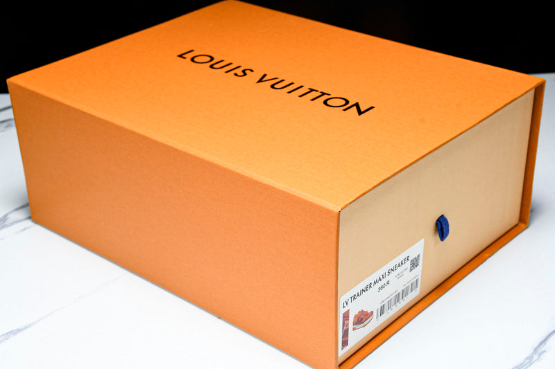 Louis Vuitton Sneaker