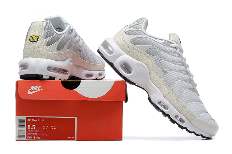 Nike Air Max TN 1
