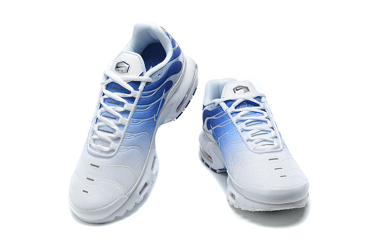 Nike Air Max TN 1