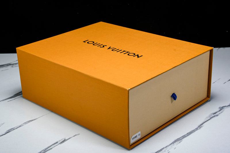 Louis Vuitton Sneaker