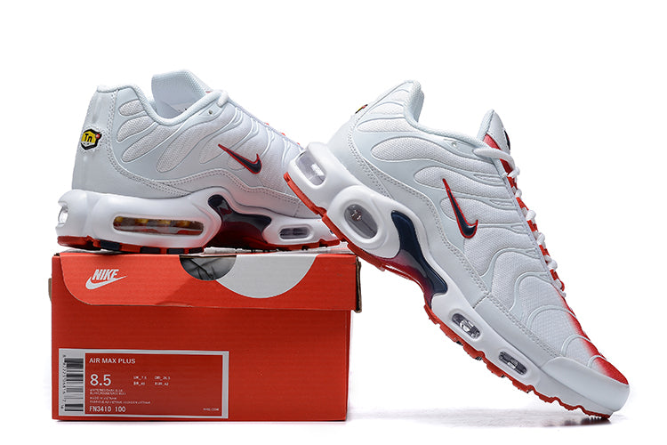 Nike Air Max TN 1