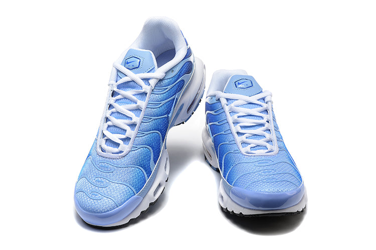 Nike Air Max TN 1