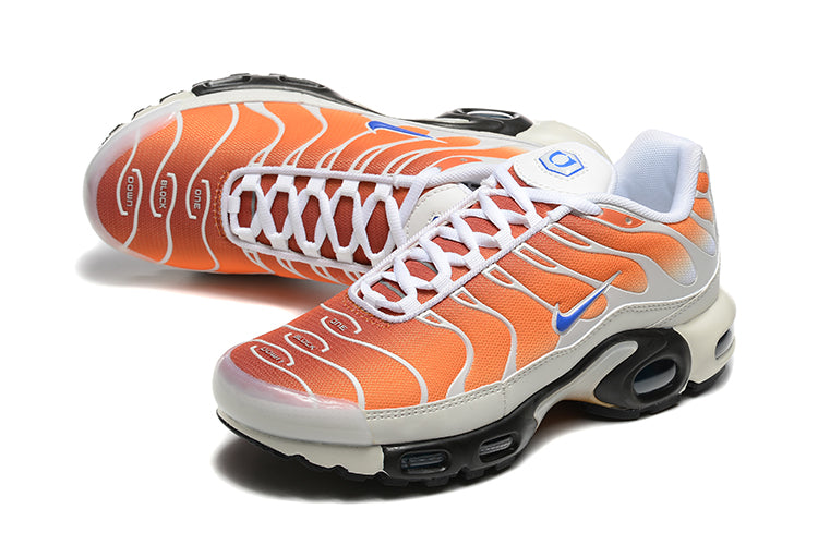 Nike Air Max TN 1