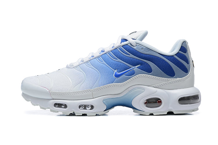 Nike Air Max TN 1