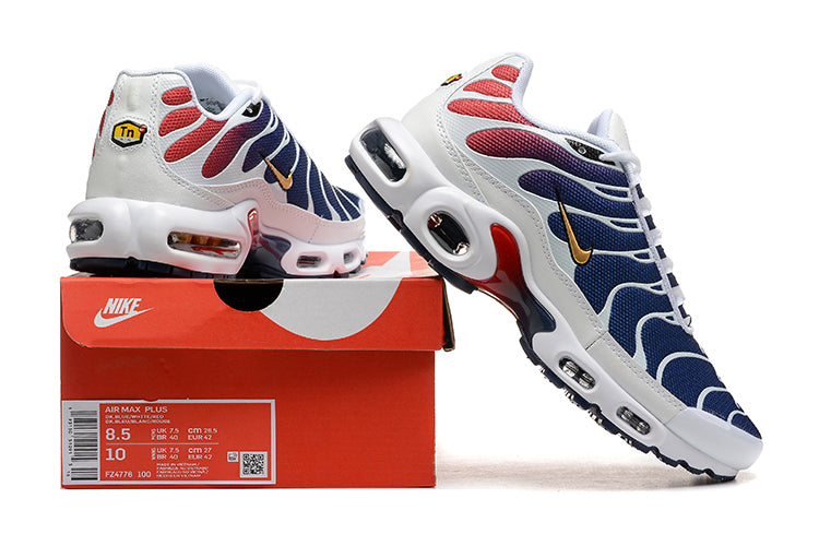 Nike Air Max TN 1