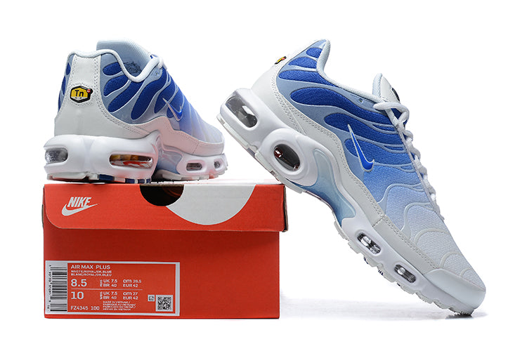 Nike Air Max TN 1