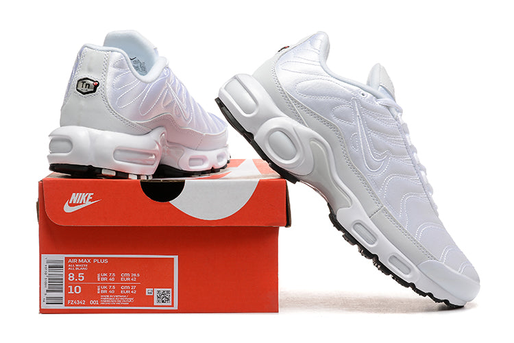 Nike Air Max TN 1
